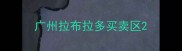 广州拉布拉多买卖区