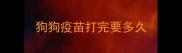 狗狗疫苗打完要多久