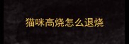 猫咪高烧怎么退烧