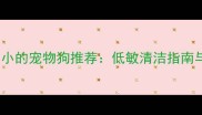 10种体味最小的宠物狗推荐低敏清洁指南与饲养技巧