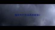 猫咪先打疫苗再到新家