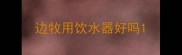 边牧用饮水器好吗