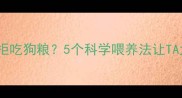 哈士奇挑食拒吃狗粮5个科学喂养法让TA大口吃肉