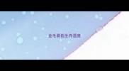 金毛最低生存温度
