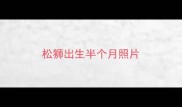 松狮出生半个月照片