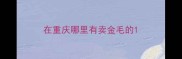 在重庆哪里有卖金毛的