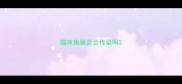猫咪角膜炎会传染吗