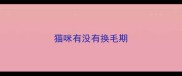 猫咪有没有换毛期