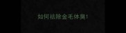 如何祛除金毛体臭