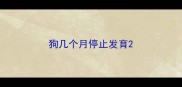 狗几个月停止发育