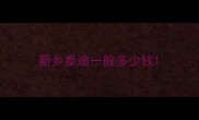 新乡泰迪一般多少钱