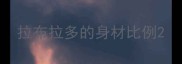 拉布拉多的身材比例