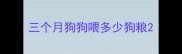三个月狗狗喂多少狗粮