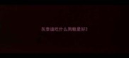 灰泰迪吃什么狗粮最好