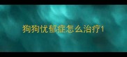 狗狗忧郁症怎么治疗