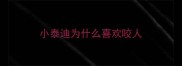 小泰迪为什么喜欢咬人