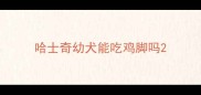 哈士奇幼犬能吃鸡脚吗