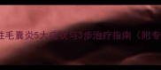 拉布拉多化脓性毛囊炎5大症状与3步治疗指南附专业护理方案