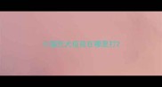 小猫狂犬疫苗在哪里打