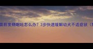 泰迪犬打疫苗后发烧呕吐怎么办3步快速缓解幼犬不适症状附护理指南