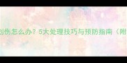 狗狗接种疫苗针头划伤怎么办5大处理技巧与预防指南附紧急联系人清单