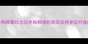 小狗频繁吐出白色粘稠液的原因及科学应对指南