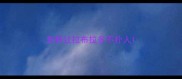 怎样让拉布拉多不扑人