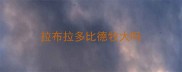 拉布拉多比德牧大吗