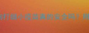 家庭免疫指南自己给狗狗打细小疫苗真的安全吗附详细操作流程与风险提示