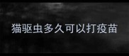 猫驱虫多久可以打疫苗
