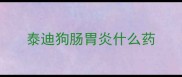 泰迪狗肠胃炎什么药