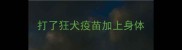 打了狂犬疫苗加上身体