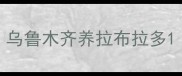 乌鲁木齐养拉布拉多