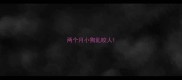 两个月小狗乱咬人