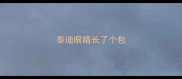 泰迪眼睛长了个包