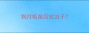 狗打疫苗后拉虫子