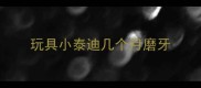 玩具小泰迪几个月磨牙