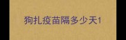 狗扎疫苗隔多少天