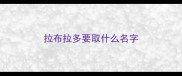 拉布拉多要取什么名字