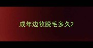 成年边牧脱毛多久
