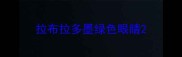 拉布拉多墨绿色眼睛
