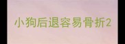 小狗后退容易骨折