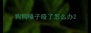 狗狗嗓子哑了怎么办