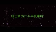 哈士奇为什么半夜嚎叫