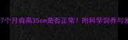 边境牧羊犬7个月肩高35cm是否正常附科学饲养与发育标准全