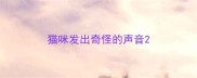 猫咪发出奇怪的声音