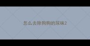 怎么去除狗狗的尿味