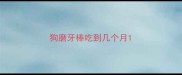 狗磨牙棒吃到几个月