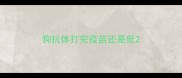 狗抗体打完疫苗还是低