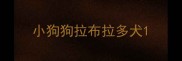 小狗狗拉布拉多犬